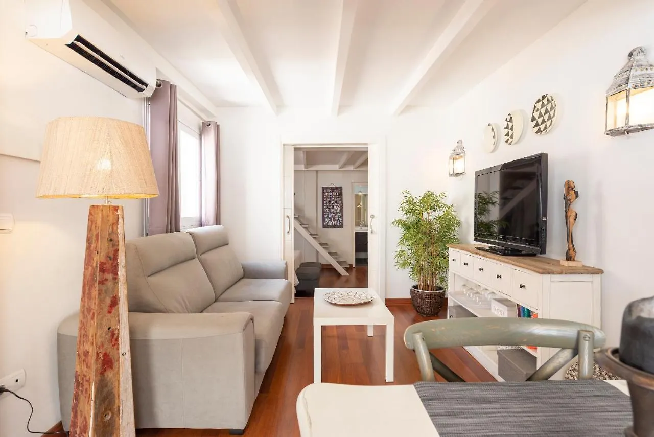 Fantastic Penthouse Malaga Center Appartement Spanje
