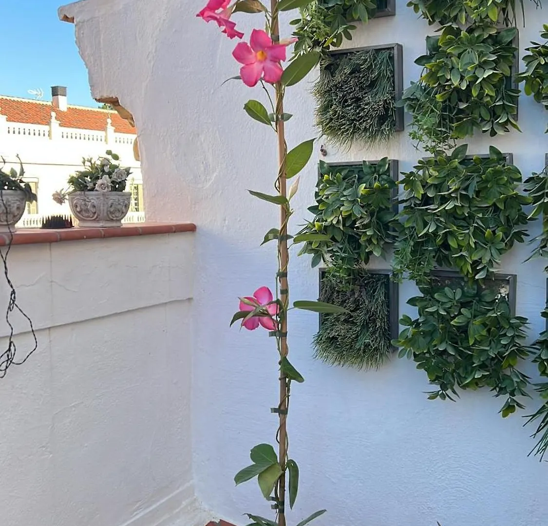 شقة Fantastic Penthouse Malaga Center