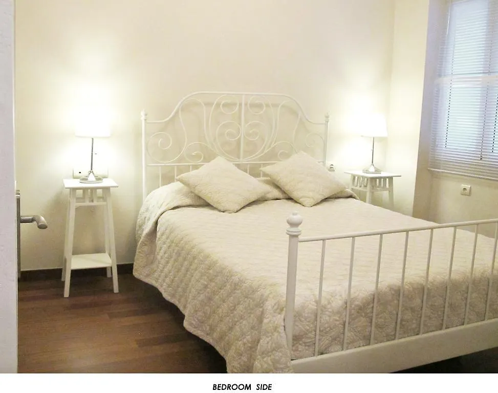 Fantastic Penthouse Malaga Center Apartment
